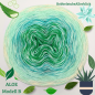 Preview: Bobbel des Monats August 2025 " ALOE " 4 Farben